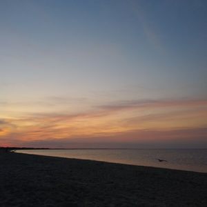 Meet your Posher, Randi